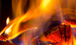Grillabend und Sternschnuppen, auch Perseiden genannt, 