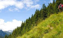 Wanderung in Stuttgart Start in Hedelfingen